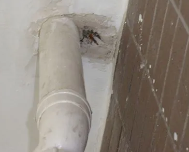 平阳漏水检测哪家好